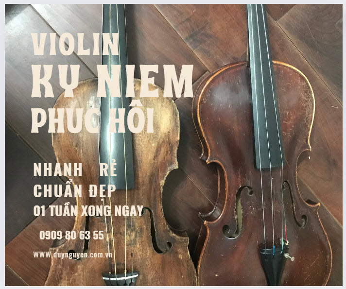sua violin, sua cello, sua contrabass tại TP,HCM