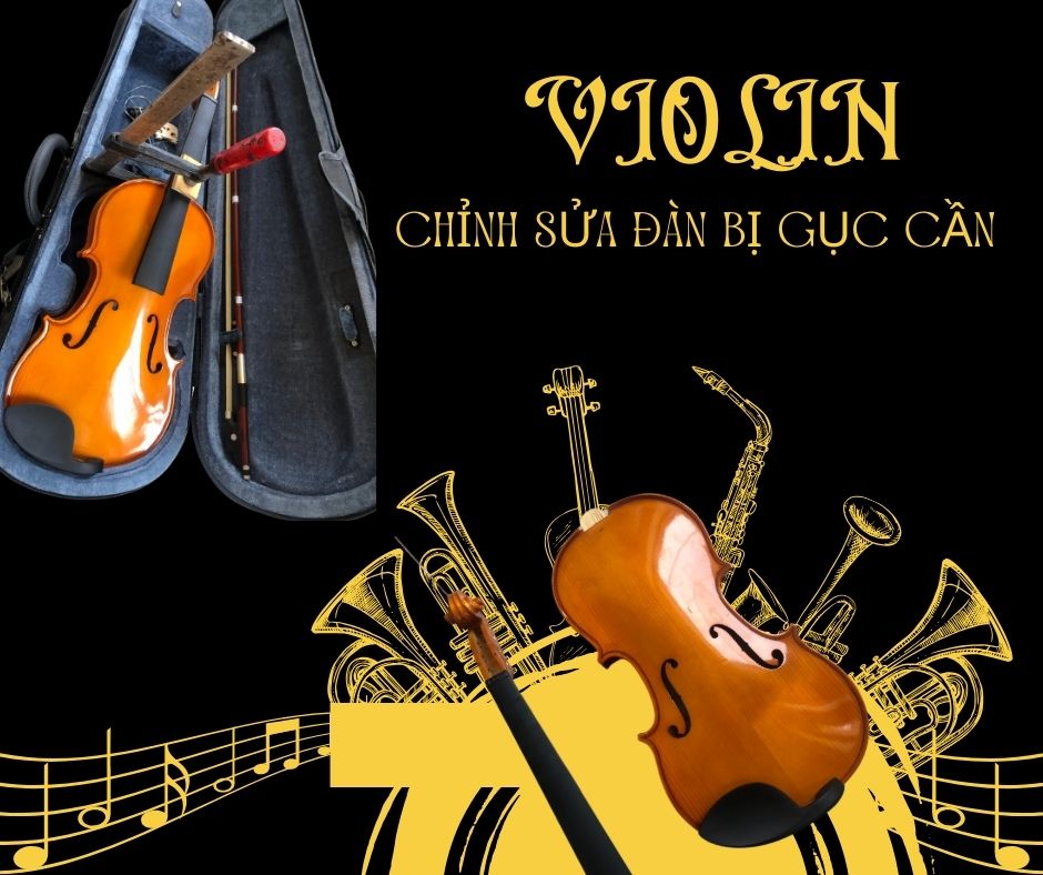 sua violin bi guc can dan violin cello