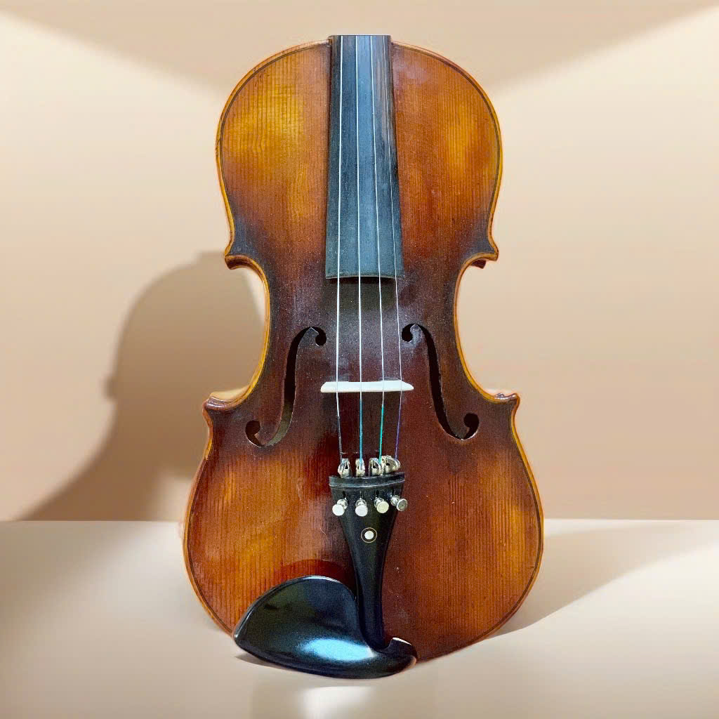 Violin Chậu Âu - Charles F. Albert - size 4/4