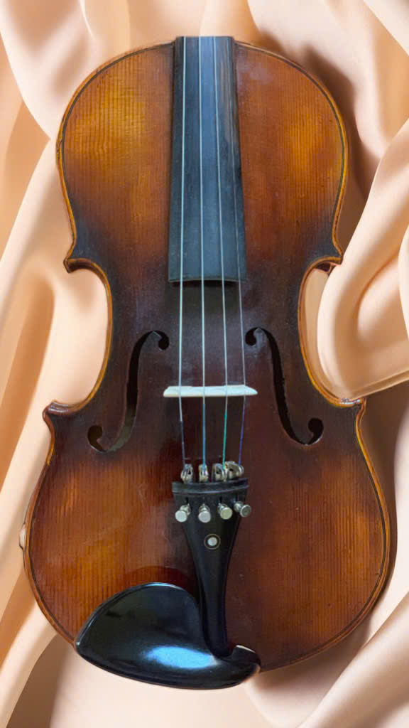 Violin Chậu Âu - Charles F. Albert - size 4/4