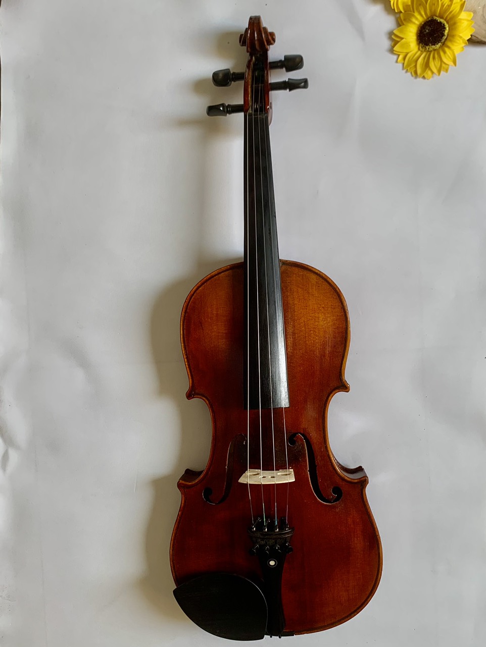 Concert Violin Paganini - Full size 4/4 - Đàn Biểu diễn do Nghệ sĩ trong Nhạc Viện Đức