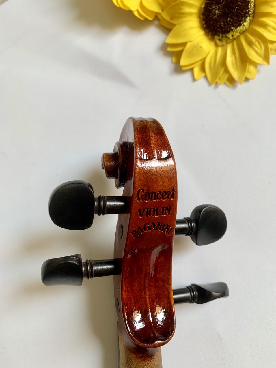 Concert Violin Paganini - Full size 4/4 - Đàn Biểu diễn do Nghệ sĩ trong Nhạc Viện Đức