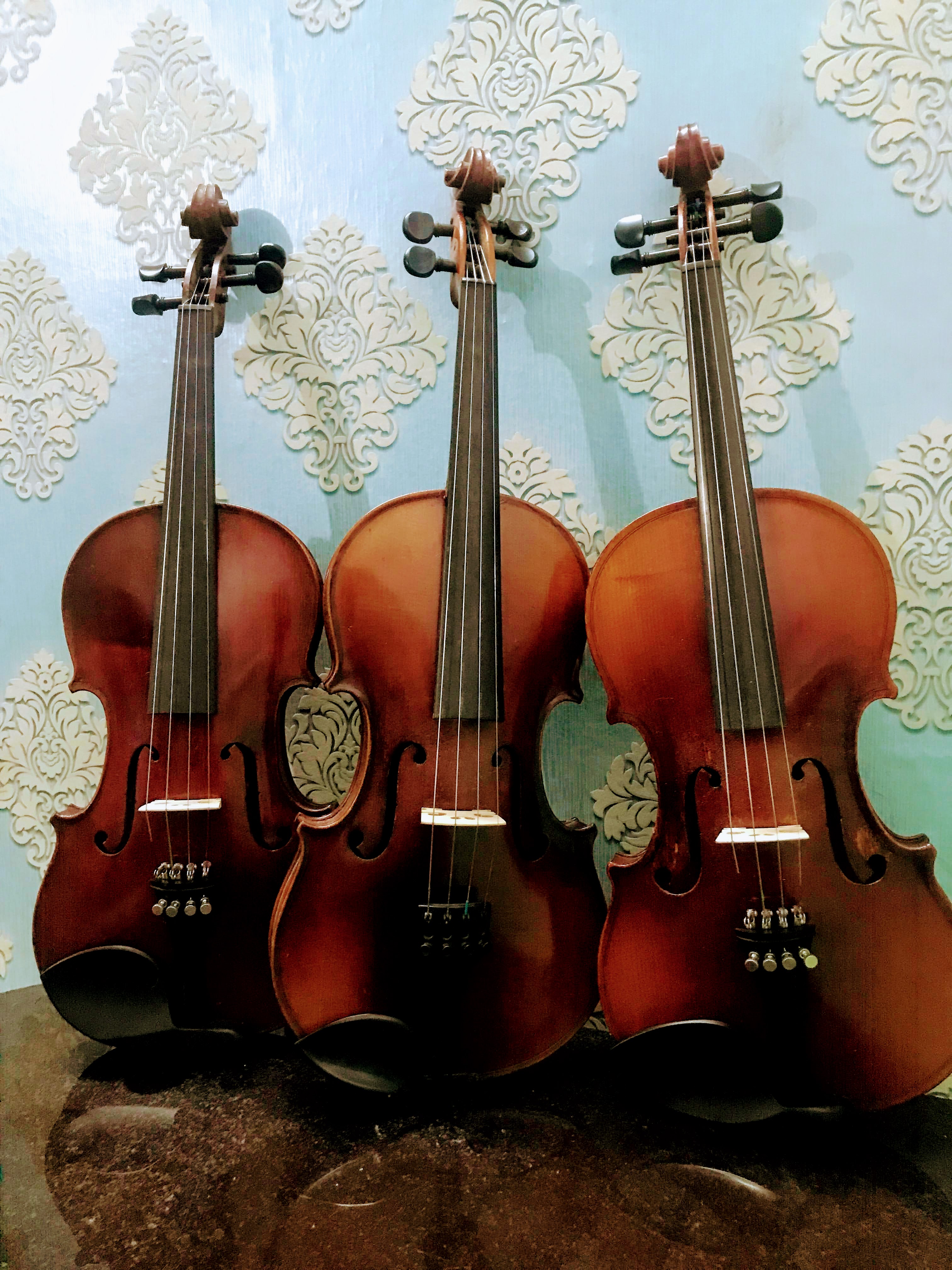 Mua đàn Violin Châu Âu chất lượng cao cấp giá rẻ ở đâu ?