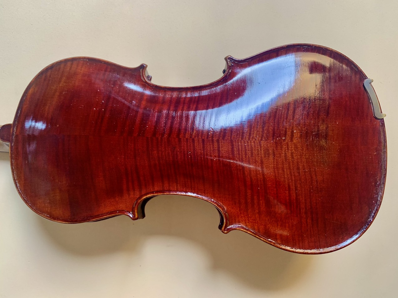 STAINER - Violin Chau Au -  Full size 4/4 