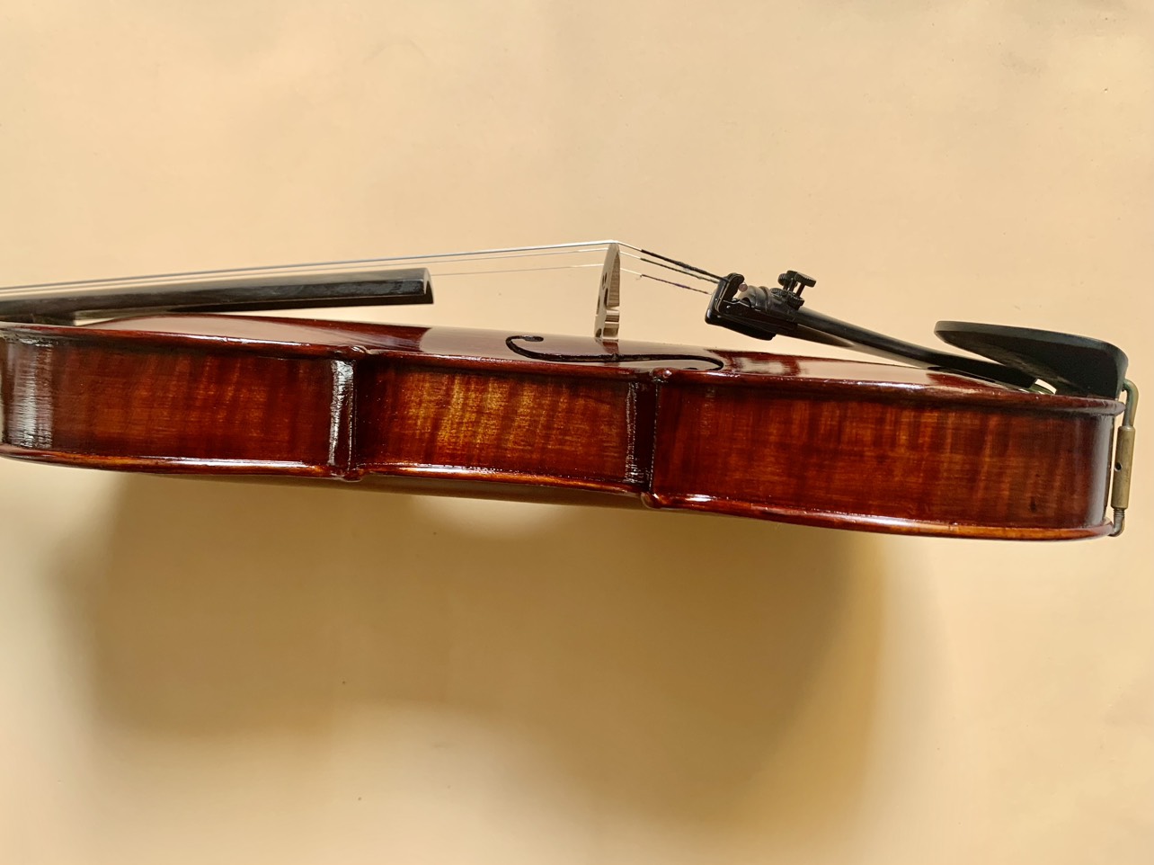 STAINER - Violin Chau Au -  Full size 4/4 