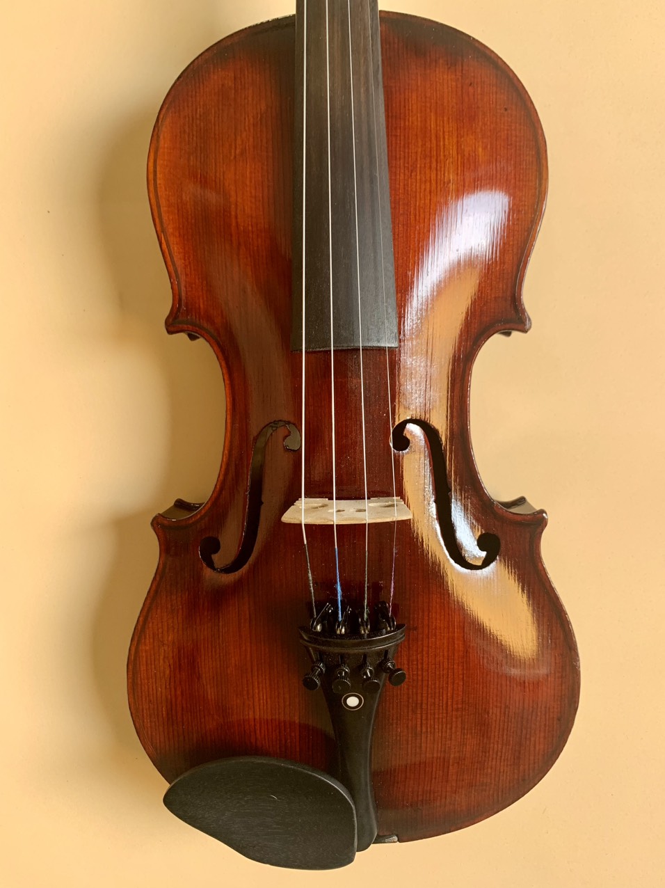 STAINER - Violin Chau Au - size 4/4 