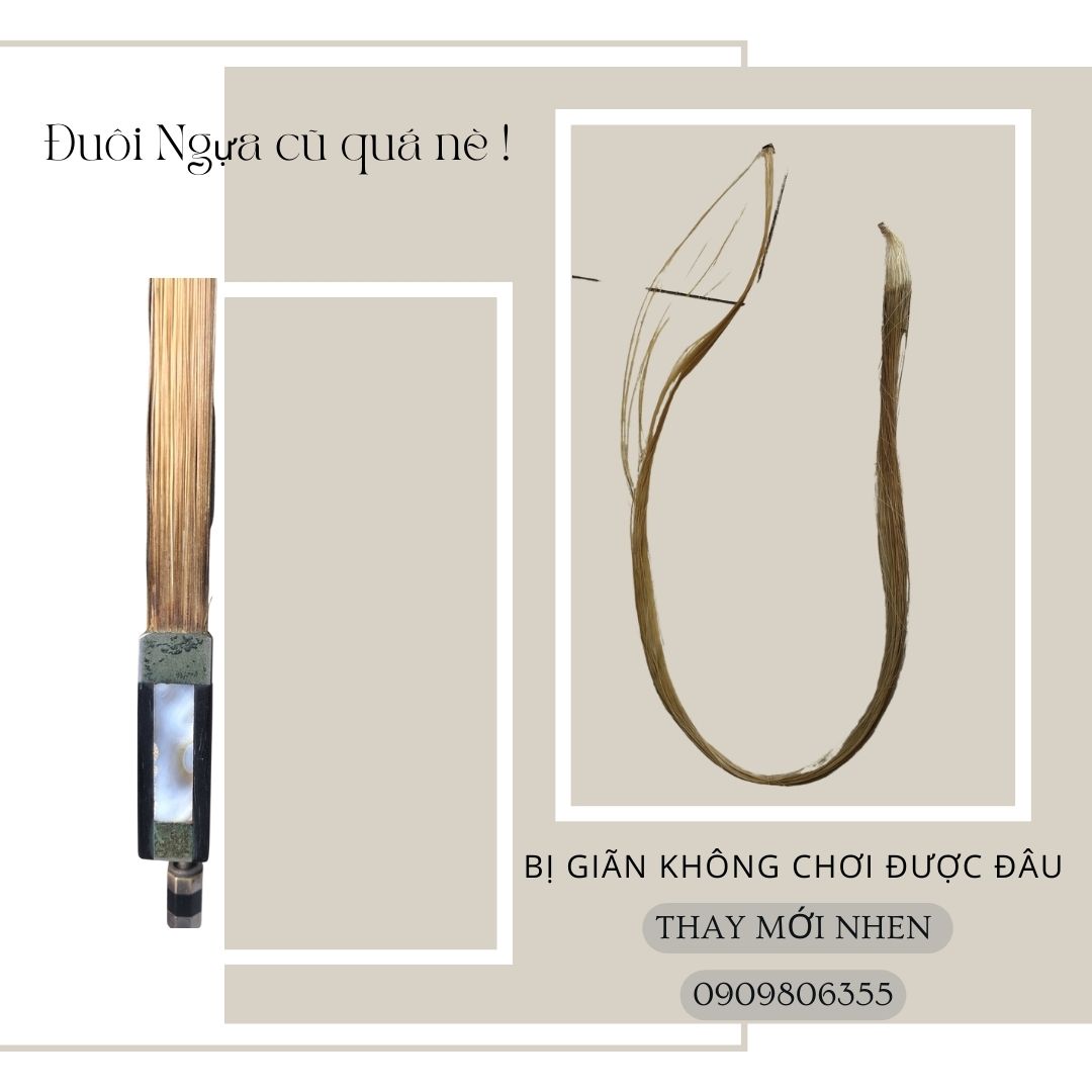 Thay Duoi Ngua vi keo violin - hair bow