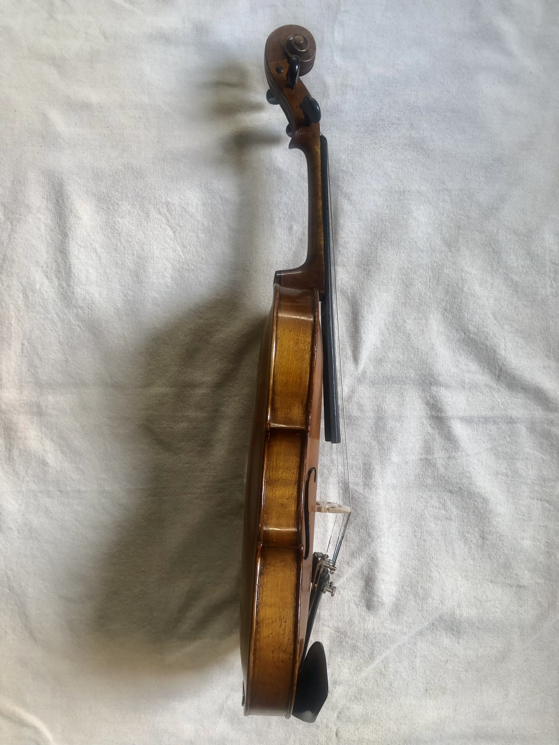 Đàn Violin Cremona - Stainer cổ xưa - size 4/4