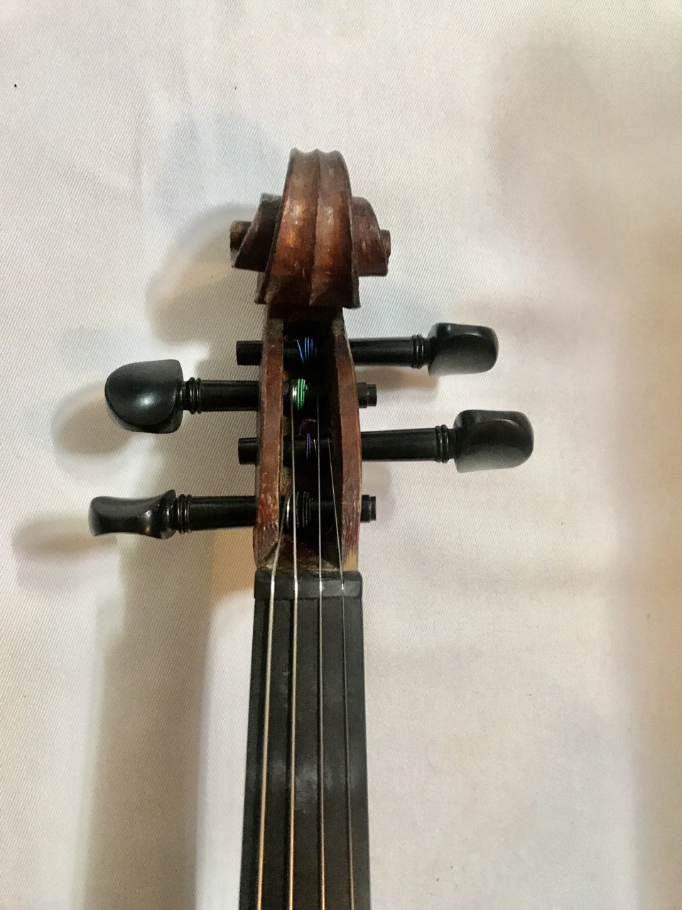 Đàn Violin Châu Âu - size 4/4 - Handmade New York