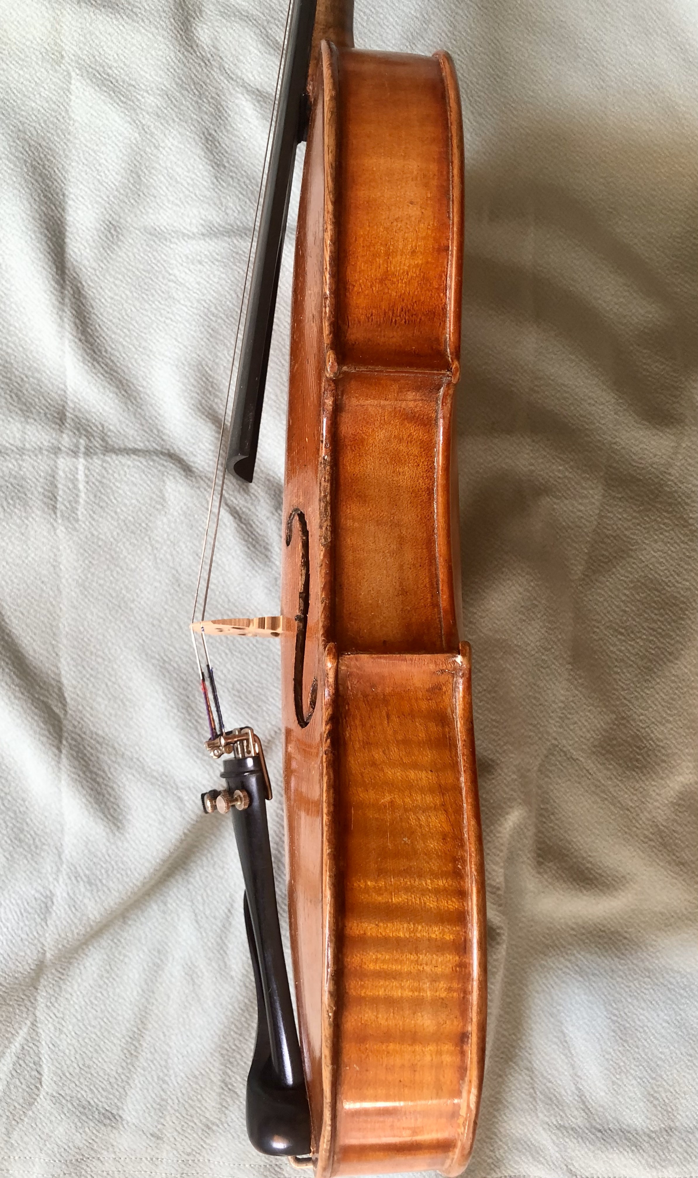 Violin Châu Âu Cổ Xưa - Jacobus Steiner 1721- size 4/4.