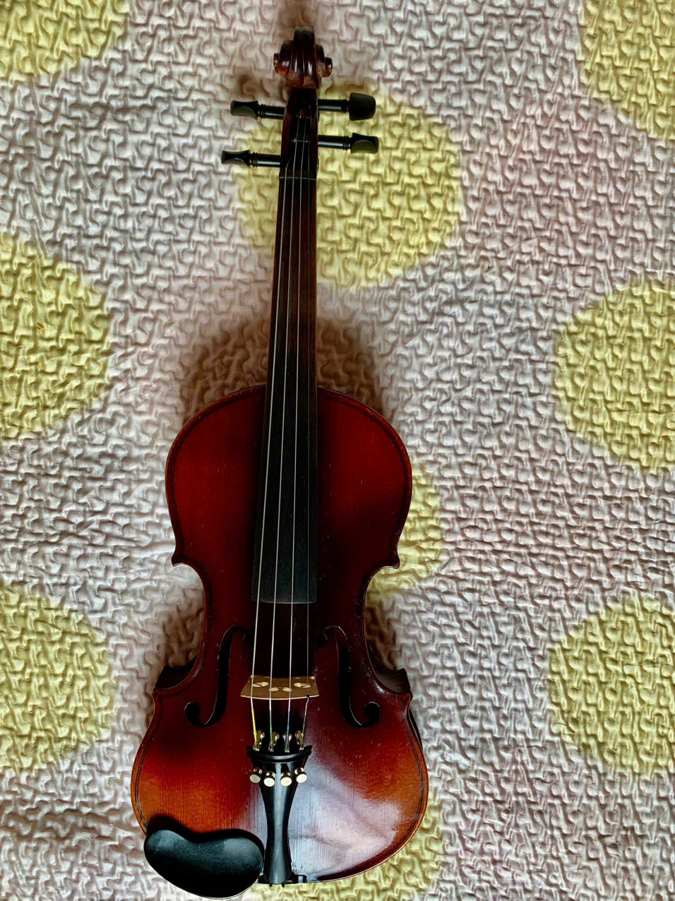 Đàn Violin của Đức size 4/4 Đẹp, Hay và Giá Rẻ