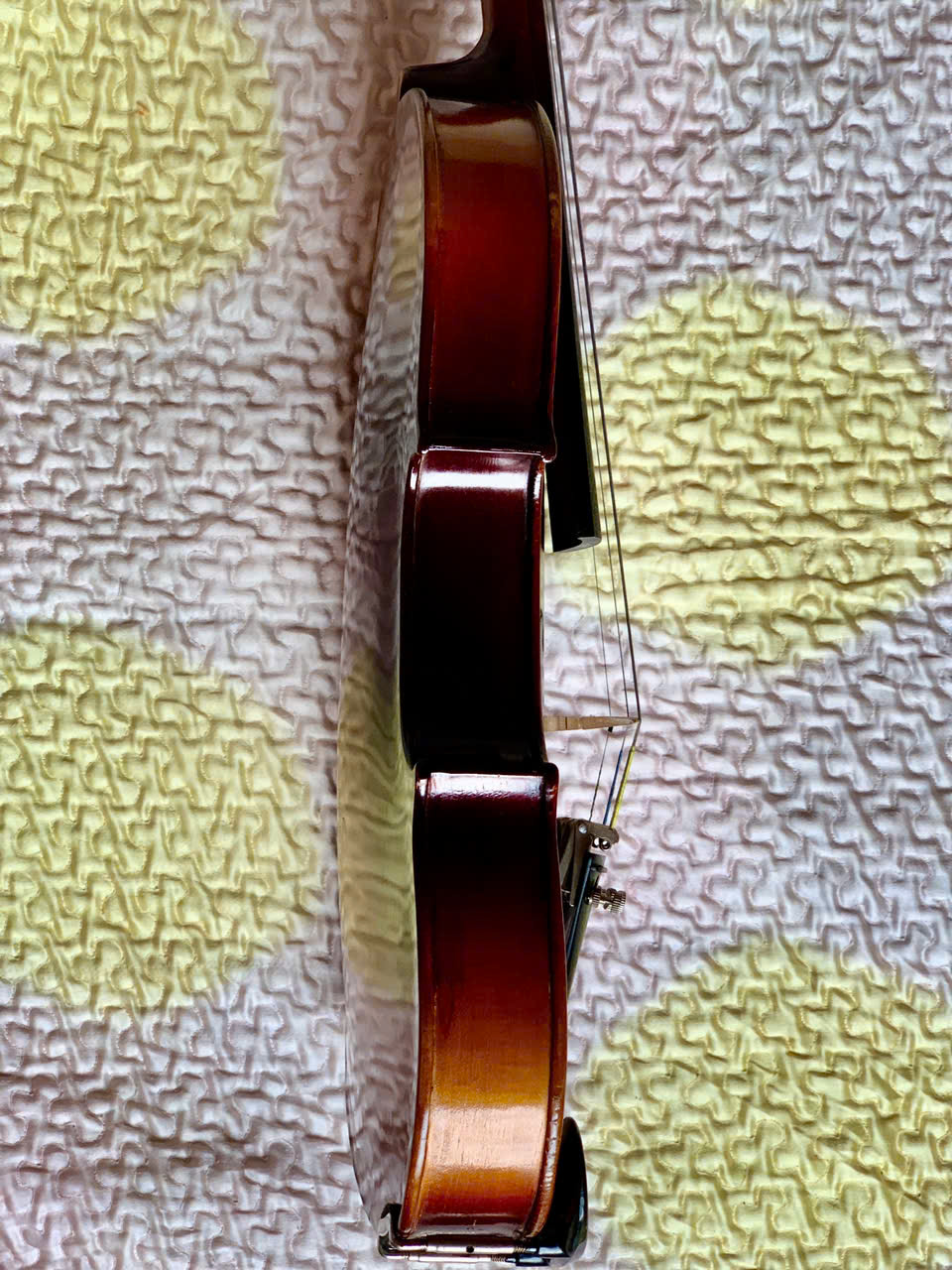 Đàn Violin của Đức size 4/4 Đẹp, Hay và Giá Rẻ