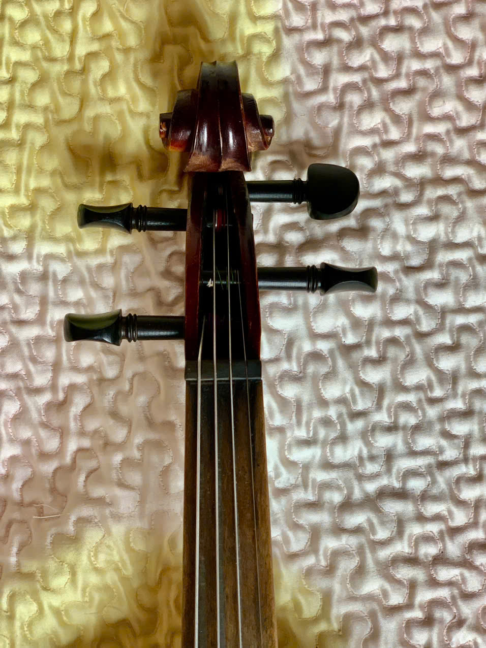 Đàn Violin của Đức size 4/4 Đẹp, Hay và Giá Rẻ