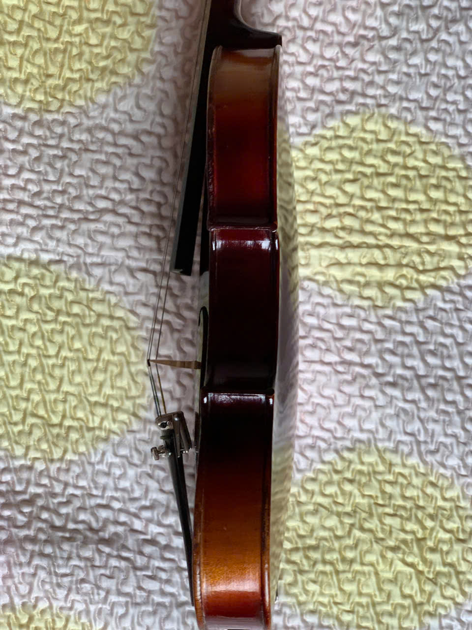 Đàn Violin của Đức size 4/4 Đẹp, Hay và Giá Rẻ