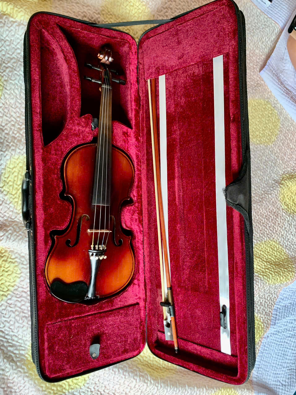 Đàn Violin của Đức size 4/4 Đẹp, Hay và Giá Rẻ