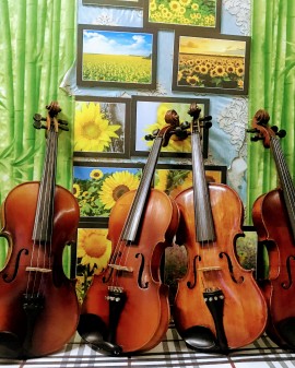 Bán Đàn Violin Châu Âu ở đâu ?
