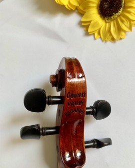Concert Violin Paganini - Handmade in Germany - Full size 4/4 - Âm thanh cực hay