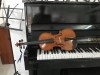 Đàn Violin của Mỹ - Boston - Âm thanh chuẩn hay vang - Size 4/4 - Giá rẻ tại TP HCM