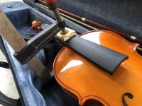 Làm Sao biết Đàn Violin bị gục cần ???