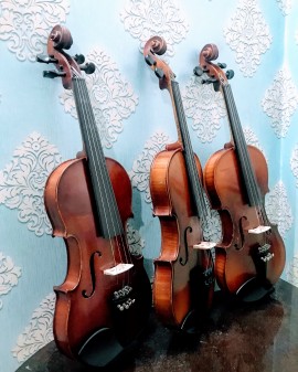 Mua đàn Violin Châu Âu chất lượng cao cấp giá rẻ ở đâu ?